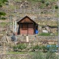 Direkt am See verläuft der Neckar und am anderen Uferseite kann man schon die Weinberge sehen
