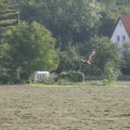 aufdemfeld6