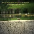 vogelsprache