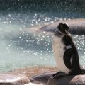 Willste auch ne Dusche?