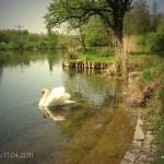 lewis11042011-1
